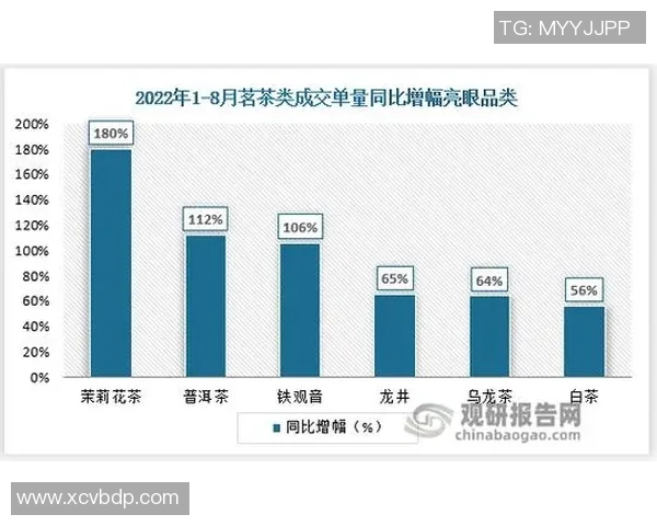 杭州网球队技术分析与战术创新的深度探讨与展望